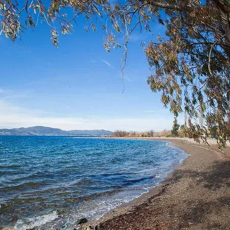 Karnagio Seafront In Agria Ferienhaus Káto Lekhónia